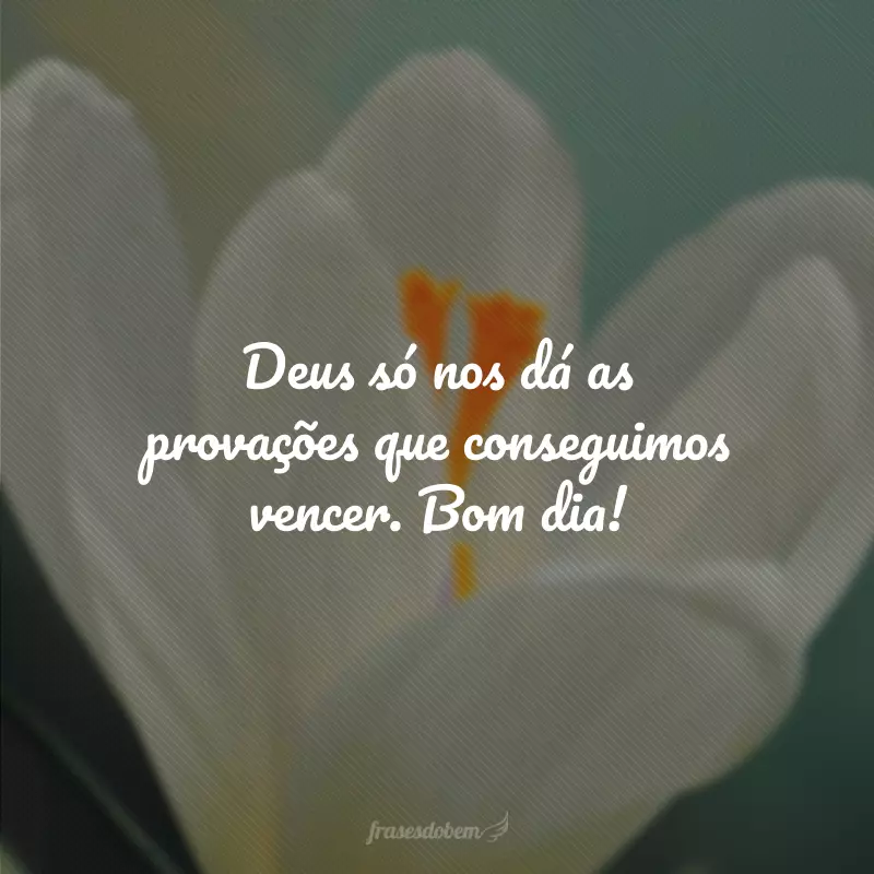 Deus só nos dá as provações que conseguimos vencer. Bom dia!