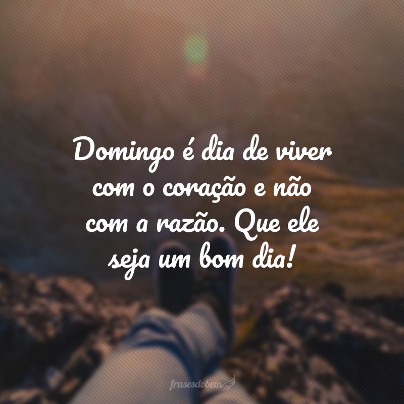 Domingo é dia de viver com o coração e não com a razão. Que ele seja um bom dia!