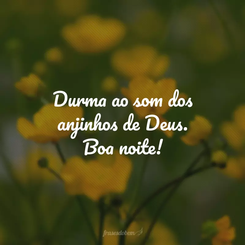 Durma ao som dos anjinhos de Deus. Boa noite!