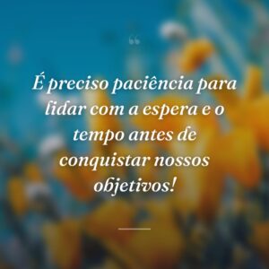 É preciso paciência para lidar com a espera e o tempo antes de conquistar nossos objetivos!