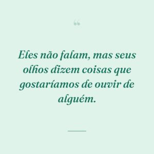 Eles não falam, mas seus olhos dizem coisas que gostaríamos de ouvir de alguém.