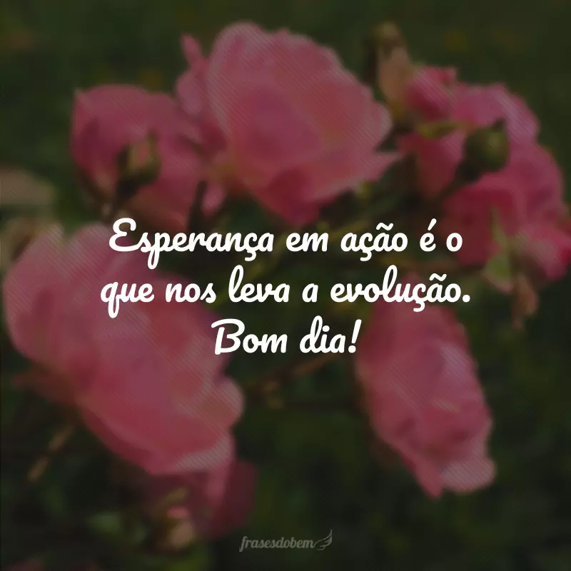 Esperança em ação é o que nos leva a evolução. Bom dia!