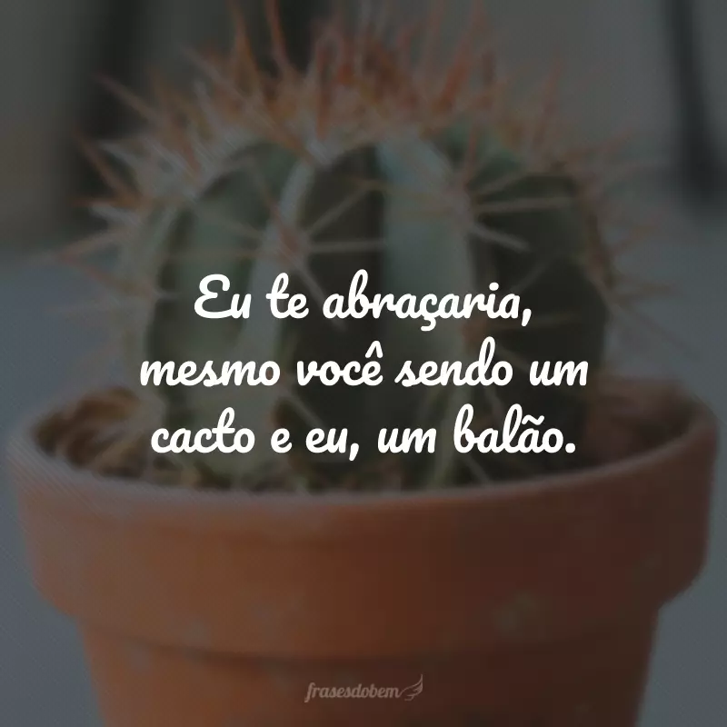 Eu te abraçaria, mesmo você sendo um cacto e eu, um balão.