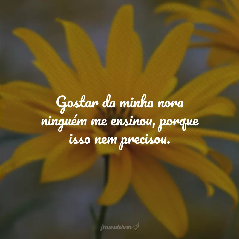 Gostar da minha nora ninguém me ensinou, porque isso nem precisou.