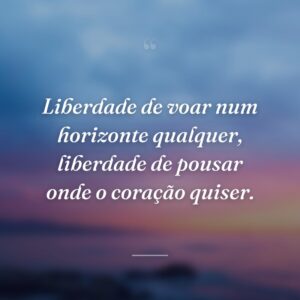 Liberdade de voar num horizonte qualquer, liberdade de pousar onde o coração quiser.