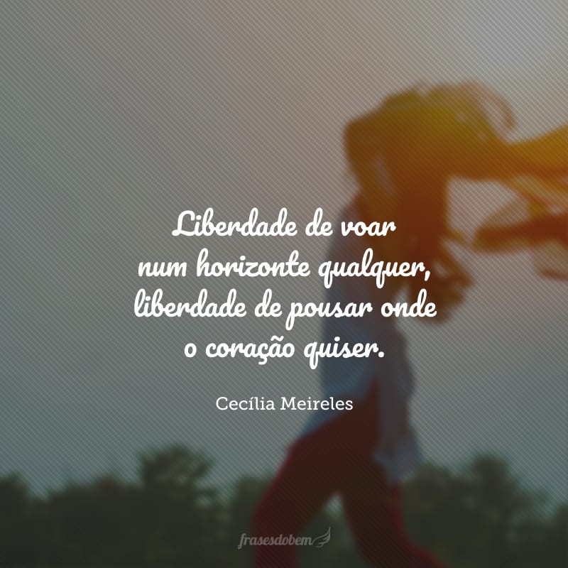 Liberdade de voar num horizonte qualquer, liberdade de pousar onde o coração quiser. 