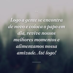 Logo a gente se encontra de novo e coloca o papo em dia, revive nossos melhores momentos e alimentamos nossa amizade. Até logo!