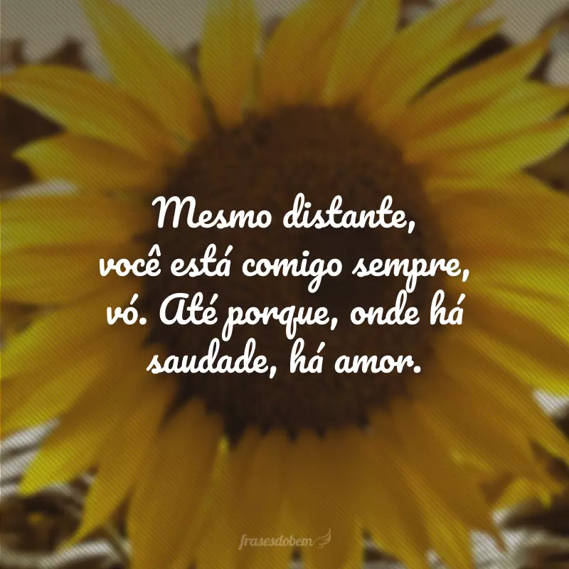 Mesmo distante, você está comigo sempre, vó. Até porque, onde há saudade, há amor.