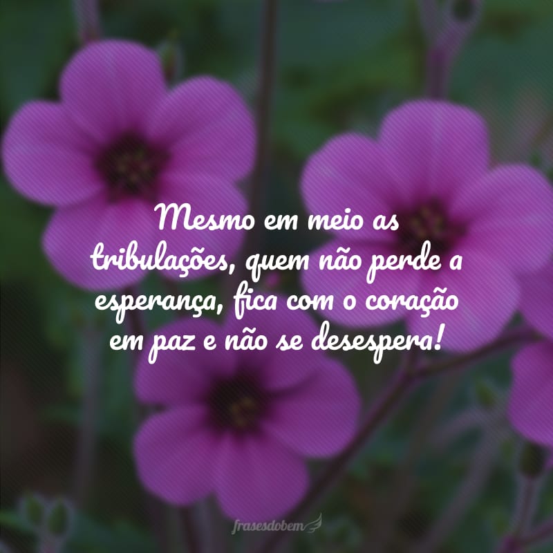 Mesmo em meio as tribulações, quem não perde a esperança, fica com o coração em paz e não se desespera!