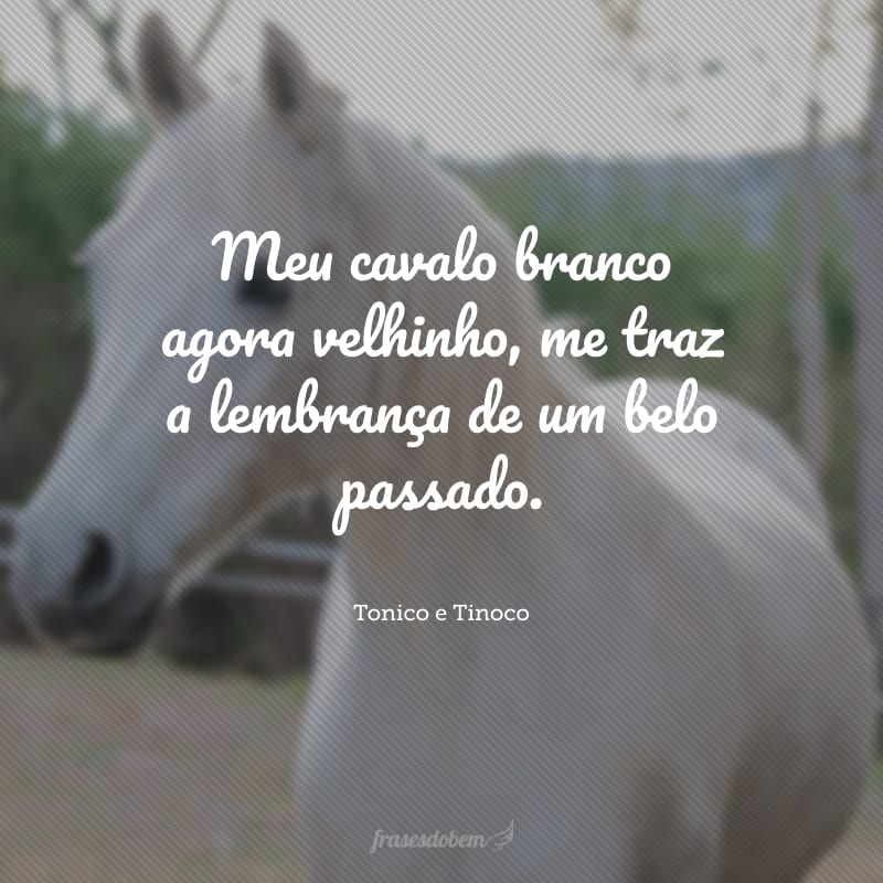 Meu cavalo branco agora velhinho, me traz a lembrança de um belo passado.