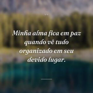 Minha alma fica em paz quando vê tudo organizado em seu devido lugar.