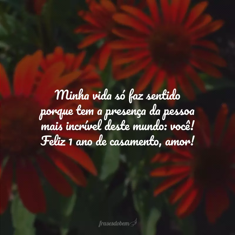 Minha vida só faz sentido porque tem a presença da pessoa mais incrível deste mundo: você! Feliz 1 ano de casamento, amor!