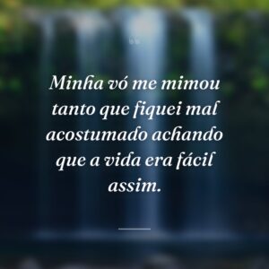 Minha vó me mimou tanto que fiquei mal acostumado achando que a vida era fácil assim.