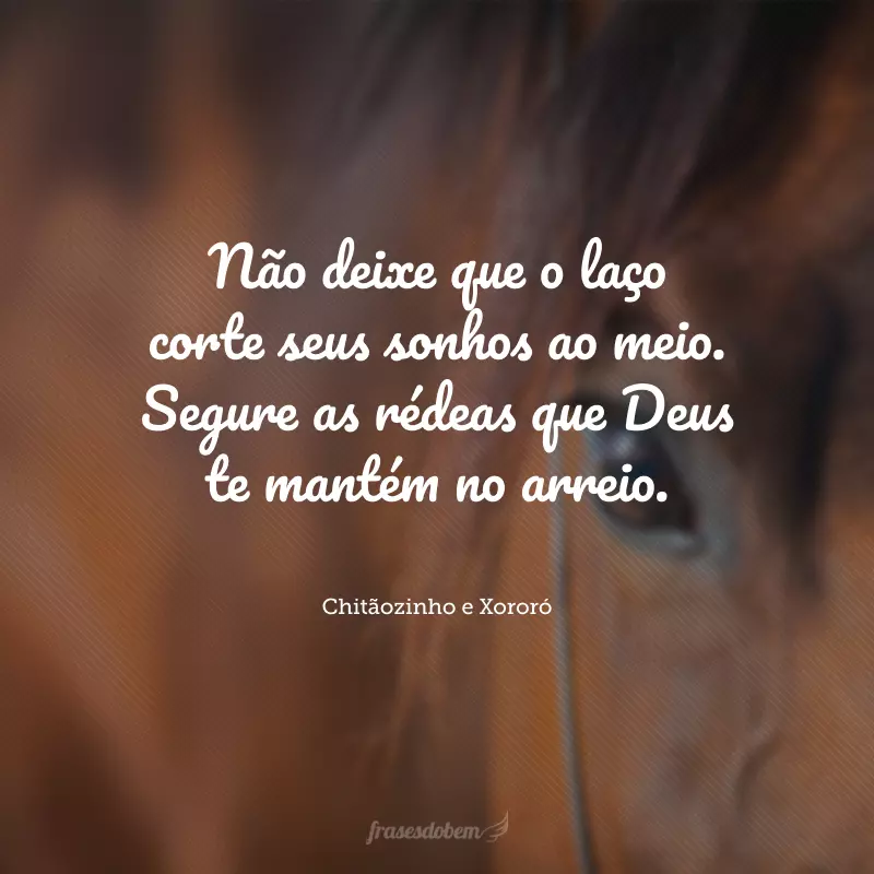 Não deixe que o laço corte seus sonhos ao meio. Segure as rédeas que Deus te mantém no arreio.