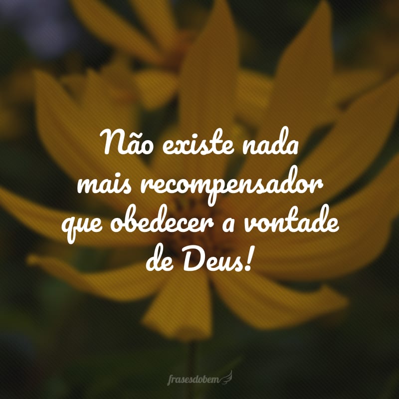 Não existe nada mais recompensador que obedecer a vontade de Deus!