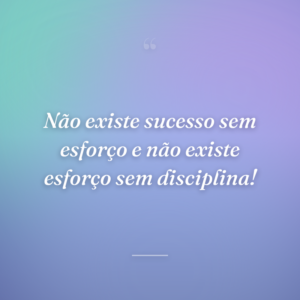 Não existe sucesso sem esforço e não existe esforço sem disciplina!