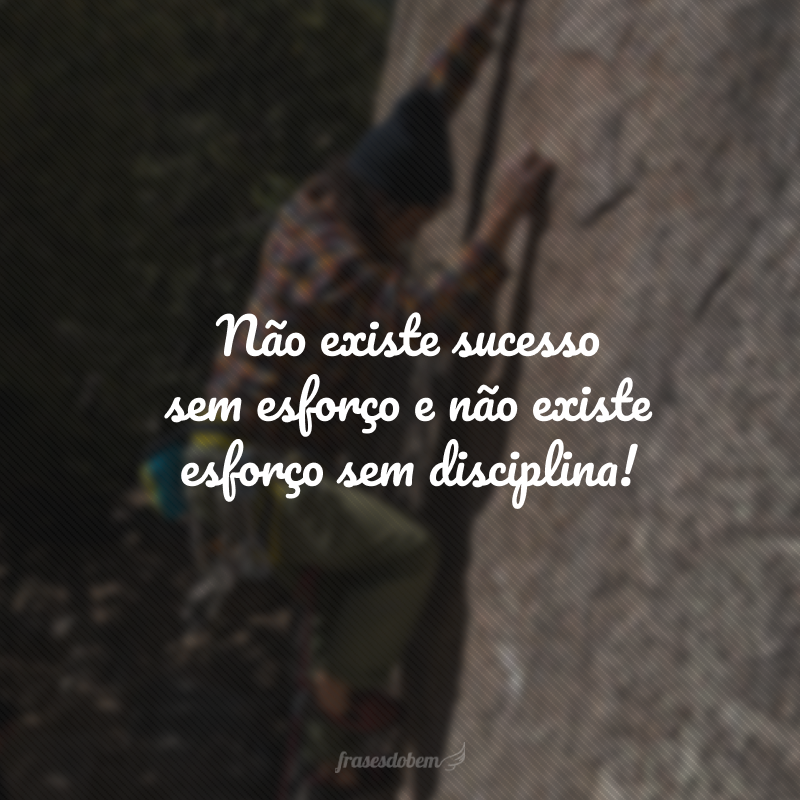 Não existe sucesso sem esforço e não existe esforço sem disciplina!