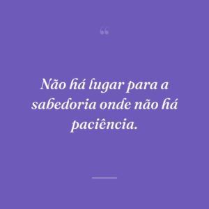 Não há lugar para a sabedoria onde não há paciência.