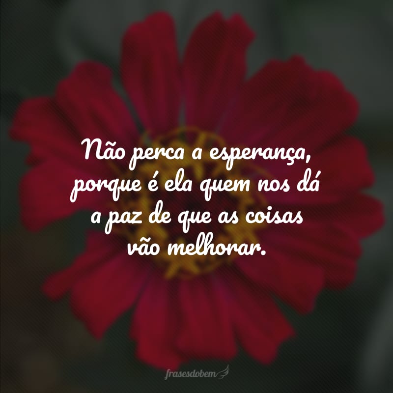 Não perca a esperança, porque é ela quem nos dá a paz de que as coisas vão melhorar.