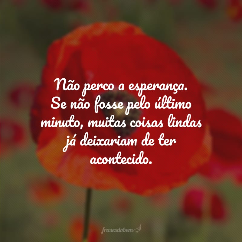 Não perco a esperança. Se não fosse pelo último minuto, muitas coisas lindas já deixariam de ter acontecido.