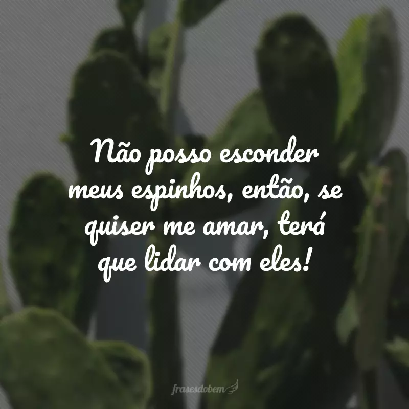 Não posso esconder meus espinhos, então, se quiser me amar, terá que lidar com eles!