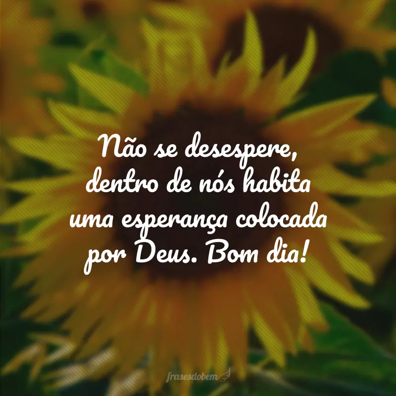 Não se desespere, dentro de nós habita uma esperança colocada por Deus. Bom dia!