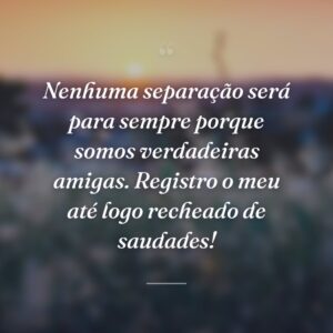 Nenhuma separação será para sempre porque somos verdadeiras amigas. Registro o meu até logo recheado de saudades!
