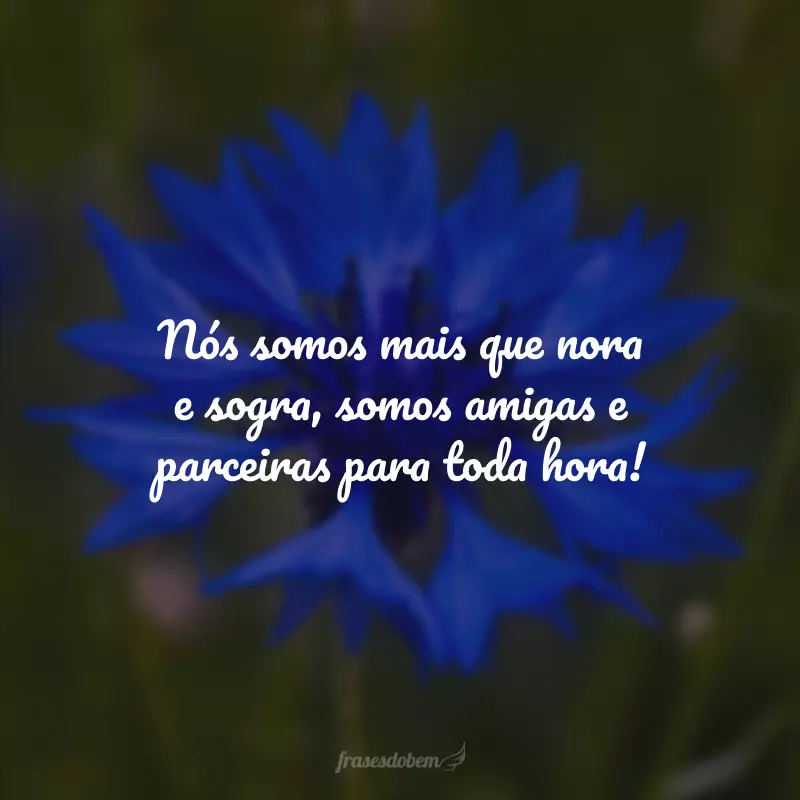 Nós somos mais que nora e sogra, somos amigas e parceiras para toda hora!  