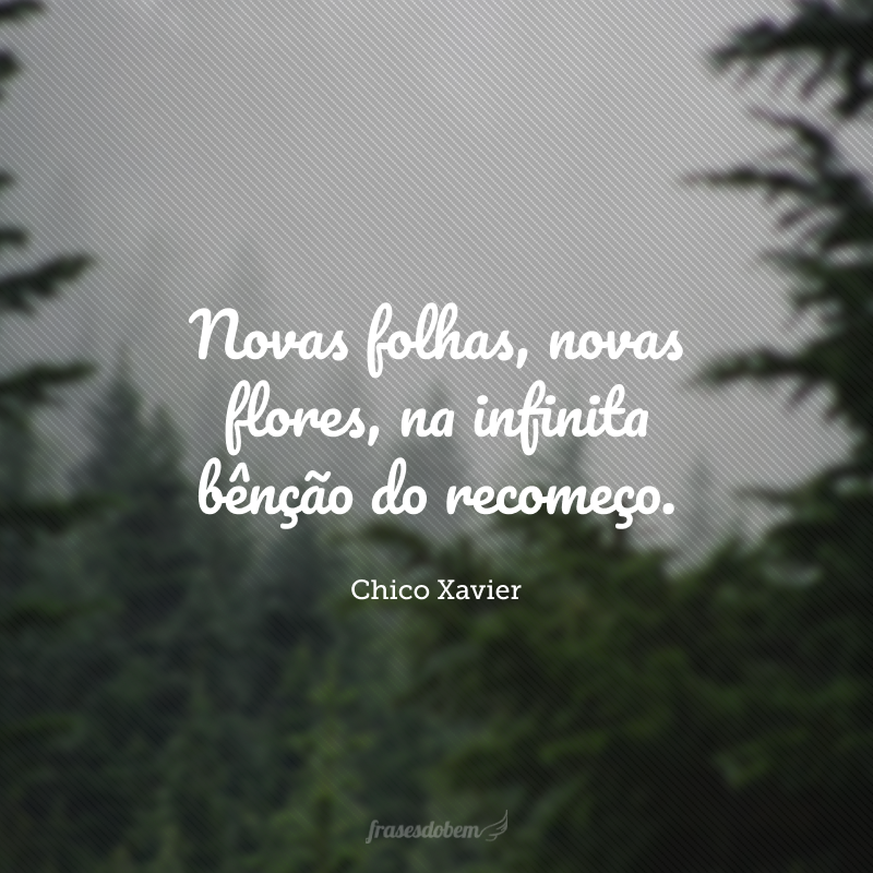 Novas folhas, novas flores, na infinita bênção do recomeço.