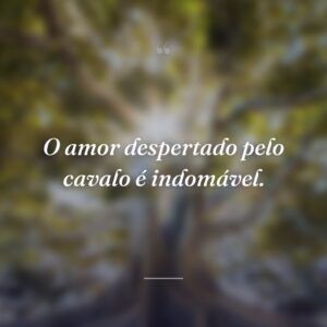 O amor despertado pelo cavalo é indomável.