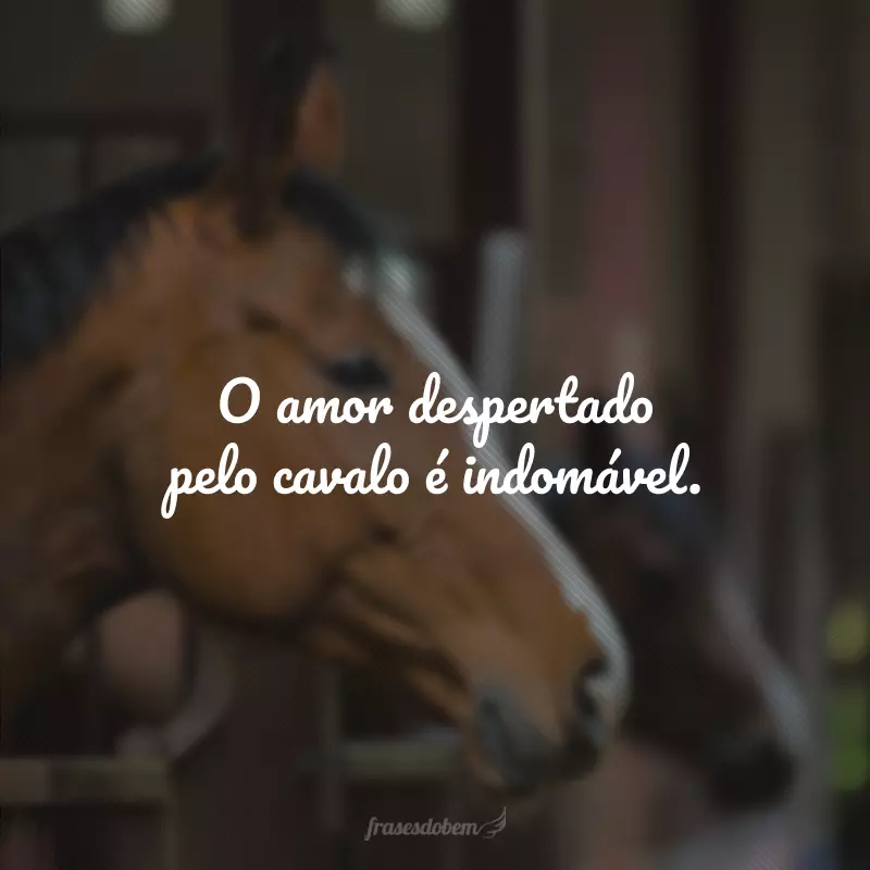 O amor despertado pelo cavalo é indomável.