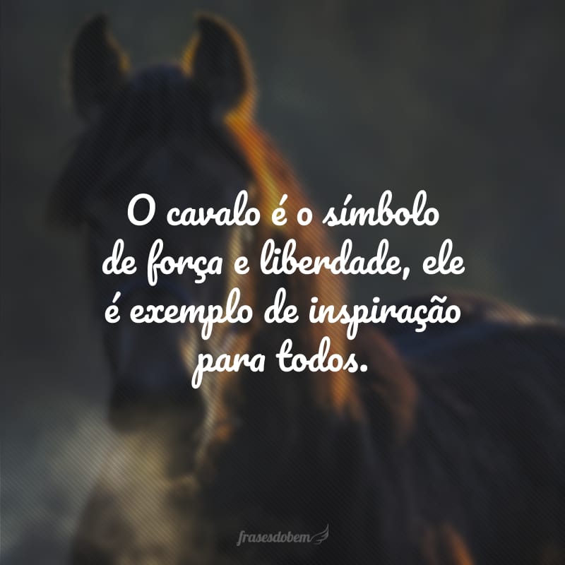 O cavalo é o símbolo de força e liberdade, ele é exemplo de inspiração para todos.