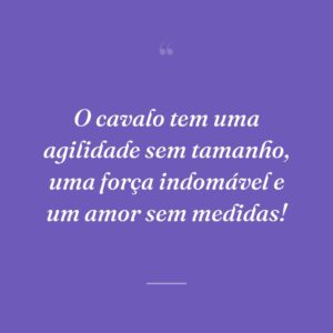 O cavalo tem uma agilidade sem tamanho, uma força indomável e um amor sem medidas!