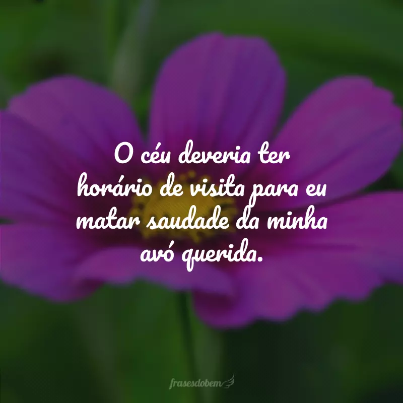 O céu deveria ter horário de visita para eu matar saudade da minha avó querida.