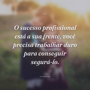 O sucesso profissional está a sua frente, você precisa trabalhar duro para conseguir segurá-lo.
