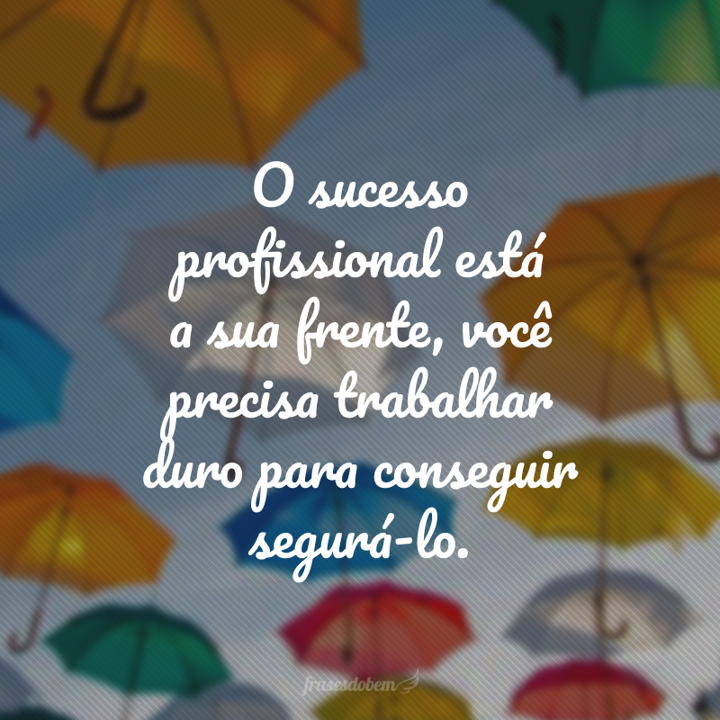 O sucesso profissional está a sua frente, você precisa trabalhar duro para conseguir segurá-lo.