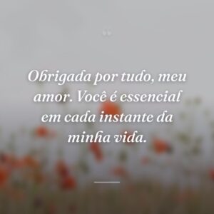 Obrigada por tudo, meu amor. Você é essencial em cada instante da minha vida.