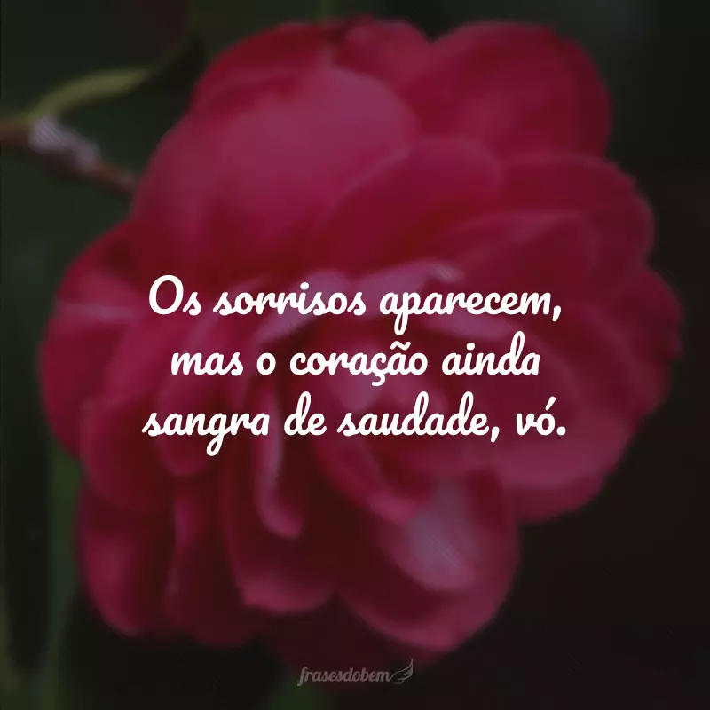 Os sorrisos aparecem, mas o coração ainda sangra de saudade, vó.