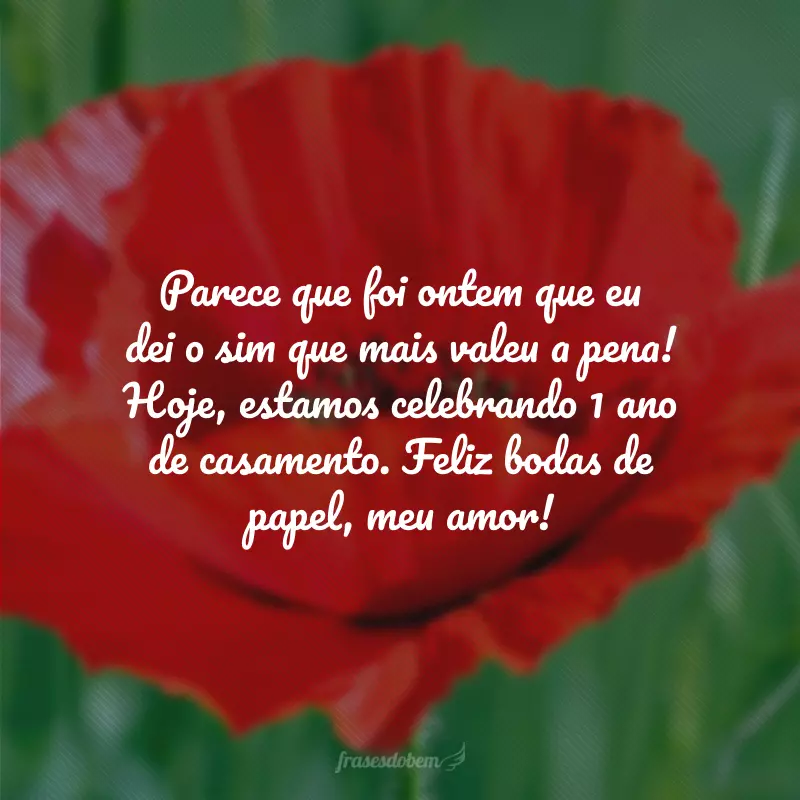 Parece que foi ontem que eu dei o sim que mais valeu a pena! Hoje, estamos celebrando 1 ano de casamento. Feliz bodas de papel, meu amor!