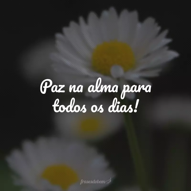 Paz na alma para todos os dias!