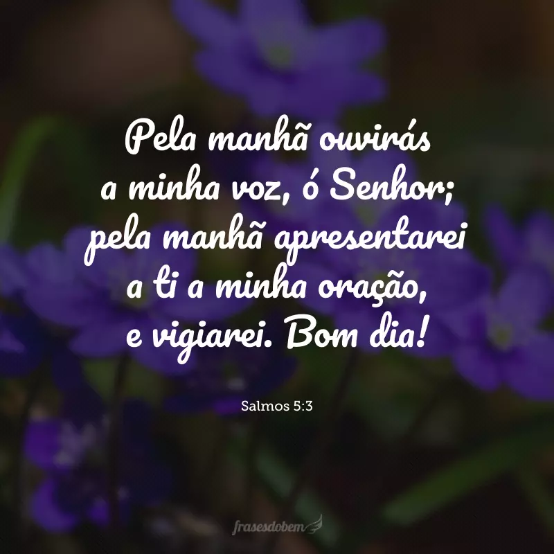 Pela manhã ouvirás a minha voz, ó Senhor; pela manhã apresentarei a ti a minha oração, e vigiarei. Bom dia!