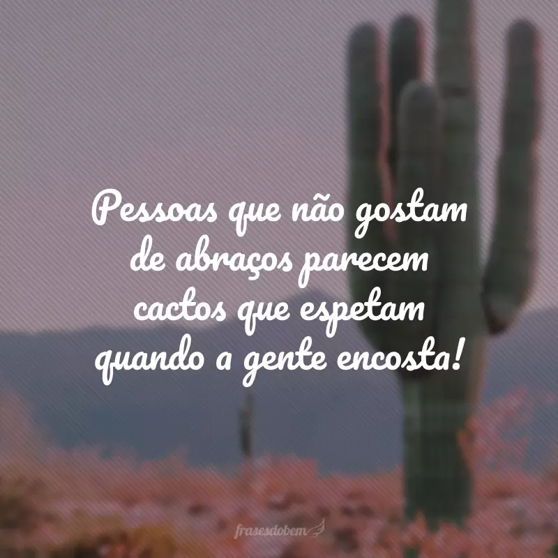 Pessoas que não gostam de abraços parecem cactos que espetam quando a gente encosta!