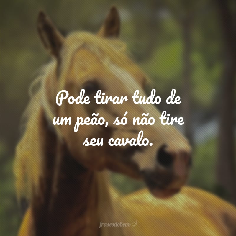 Pode tirar tudo de um peão, só não tire seu cavalo.