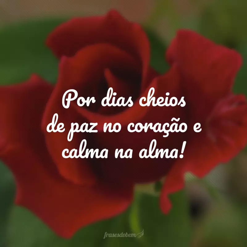 Por dias cheios de paz no coração e calma na alma!