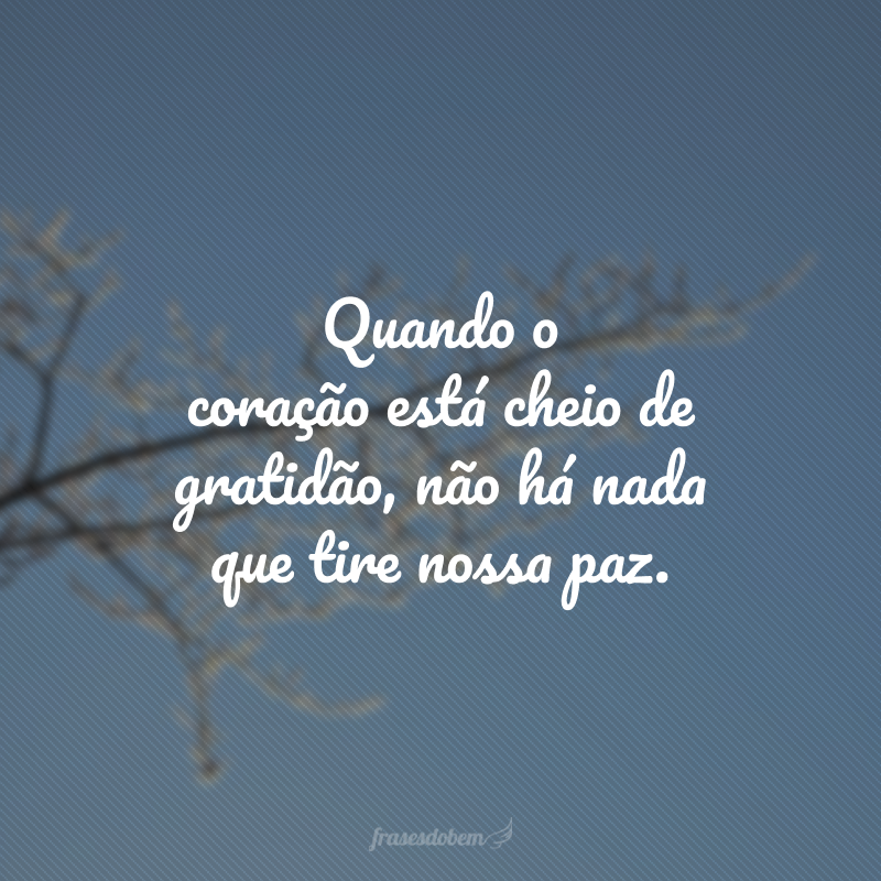 Quando o coração está cheio de gratidão, não há nada que tire nossa paz.