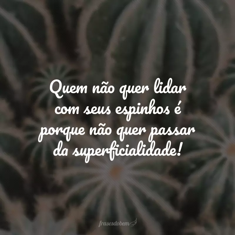 Quem não quer lidar com seus espinhos é porque não quer passar da superficialidade!