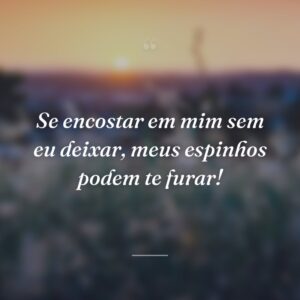 Se encostar em mim sem eu deixar, meus espinhos podem te furar!