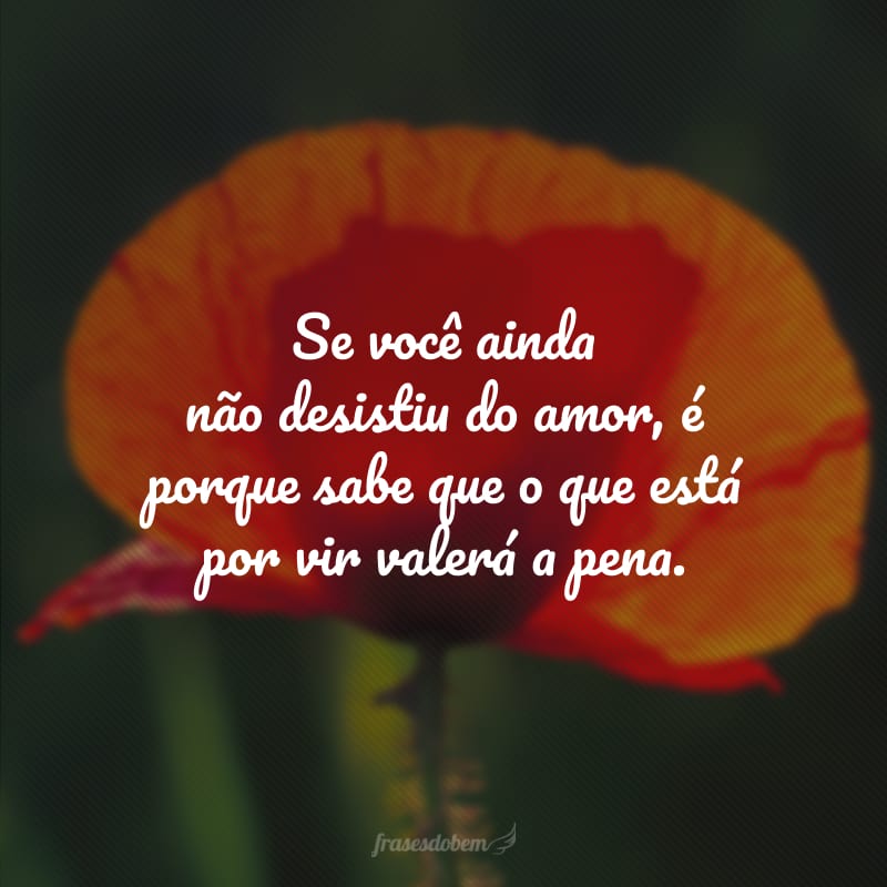 Se você ainda não desistiu do amor, é porque sabe que o que está por vir valerá a pena.