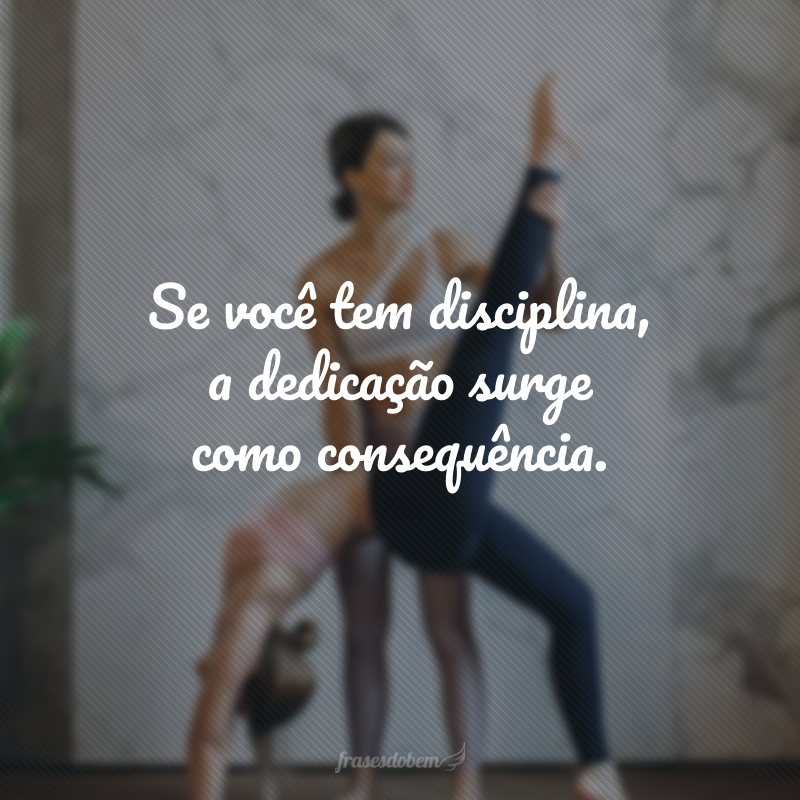 Se você tem disciplina, a dedicação surge como consequência.