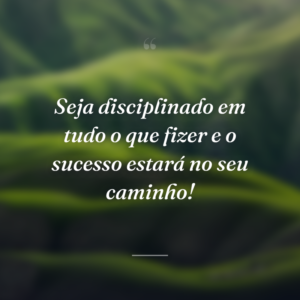 Seja disciplinado em tudo o que fizer e o sucesso estará no seu caminho!